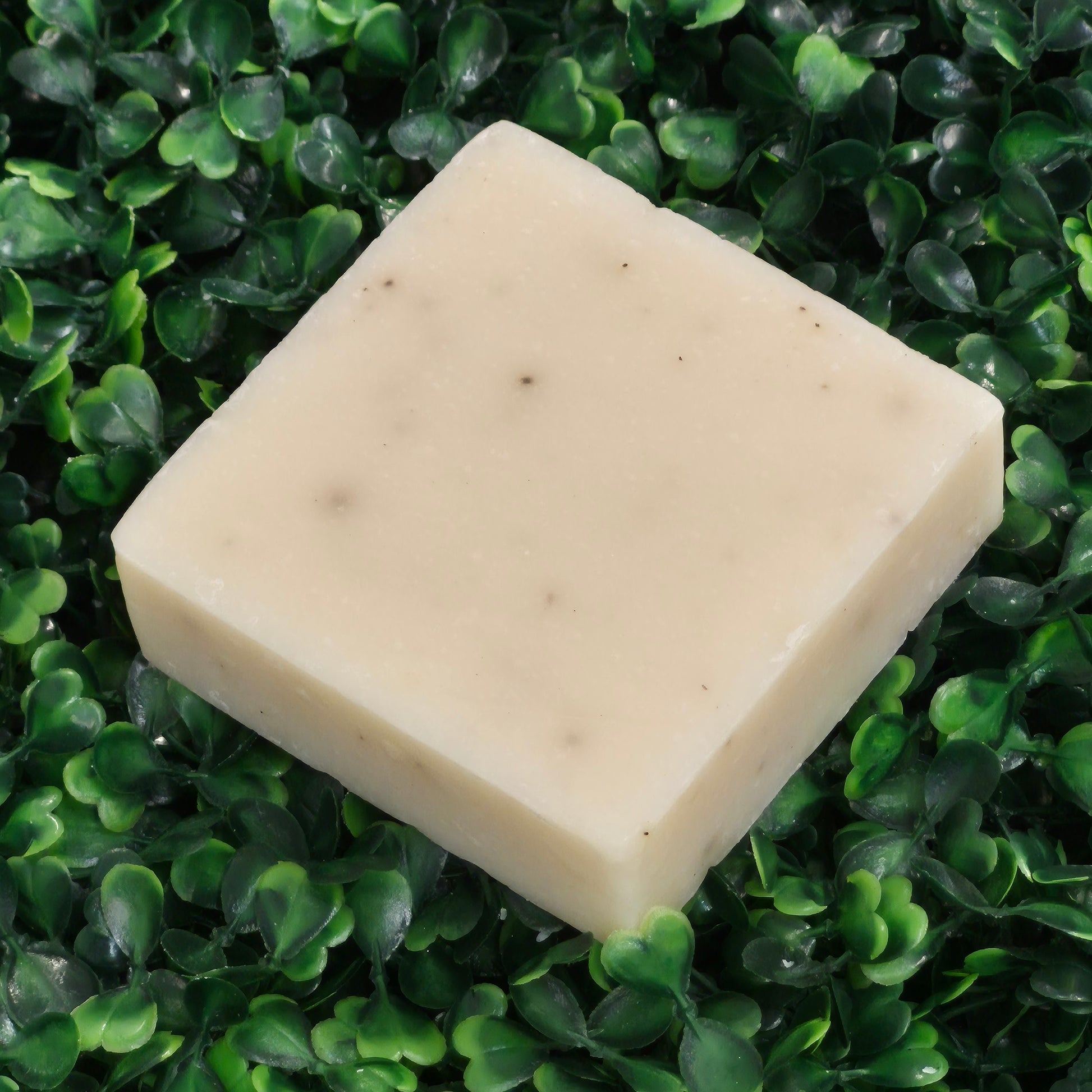 "Double Shot" Soap Bar
