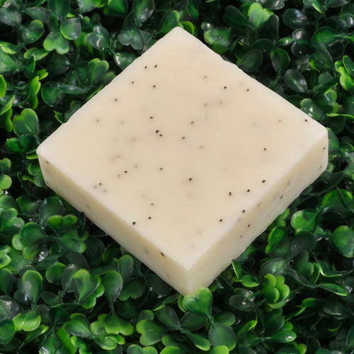 "Florida Man" Soap Bar