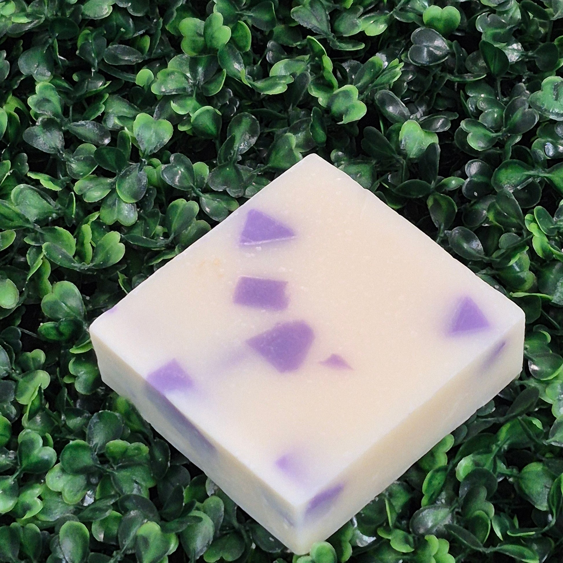 "Whipped Razz" Soap Bar