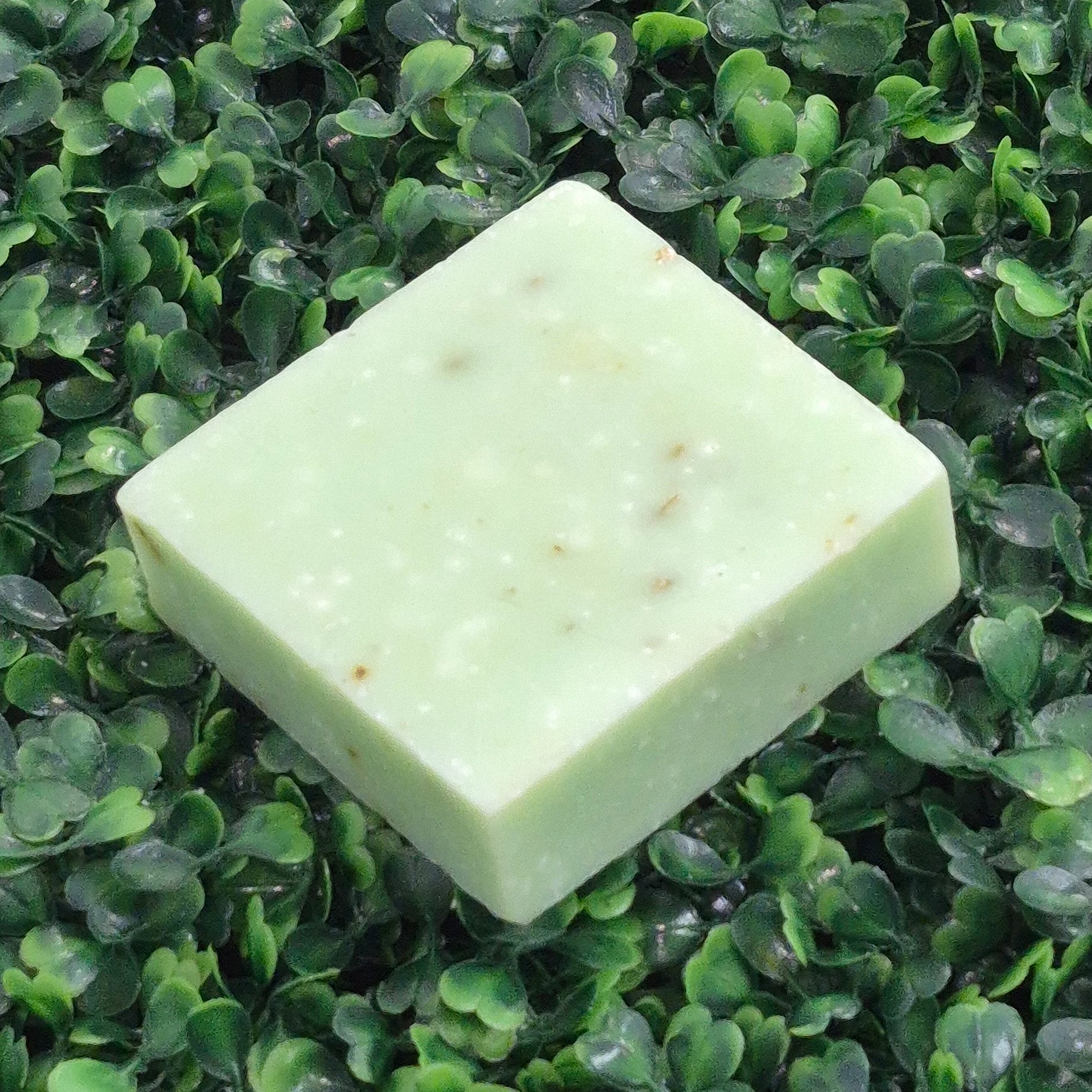 "Wakame Wave" Soap Bar