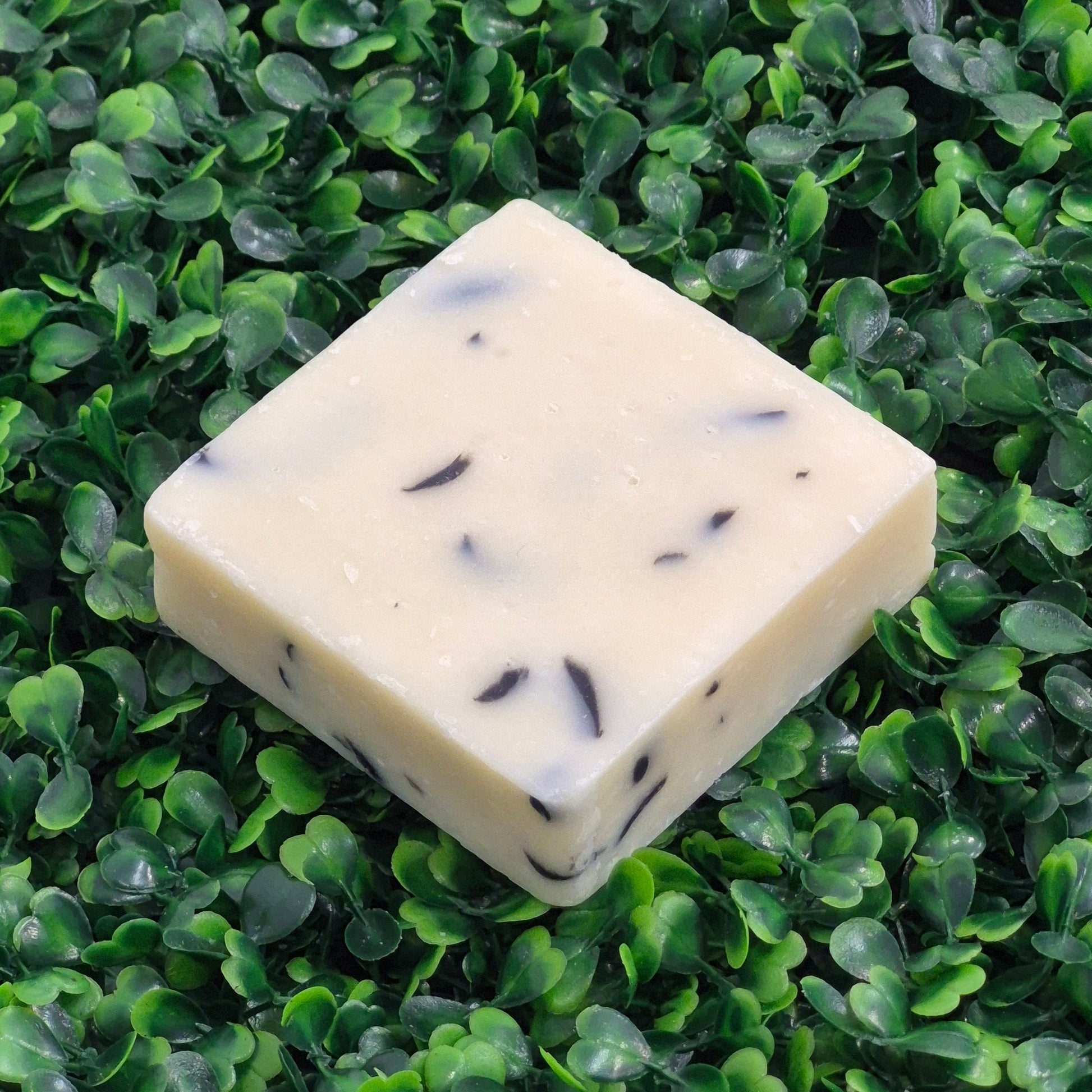 "Salt and Cedar" Soap Bar